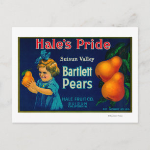 Hale's Pride Pear Crate LabelSuisun, CA Briefkaart