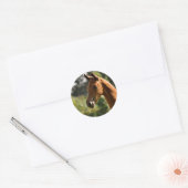 Half-Arabische Basks in de zon. Ronde Sticker (Envelop)