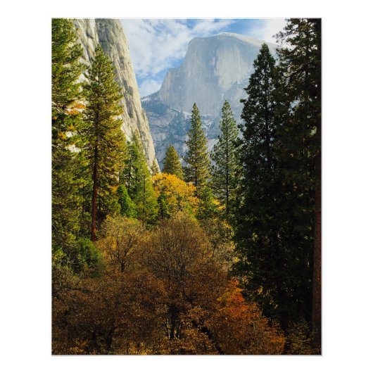 Half Dome-herfstposter (nationaal park Yosemite) Perfect Poster (Voorkant)