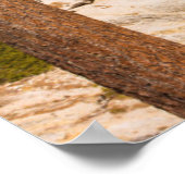 Half Dome-landschap, Californië Poster (Hoek)