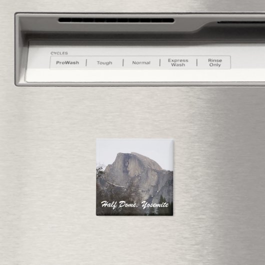 Half-dome Magneet (Insitu (Vaatwasser))