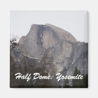 Half-dome Magneet
