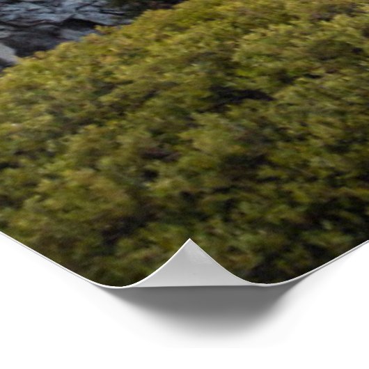 Half-dome | Nationaal park Yosemite Poster (Hoek)