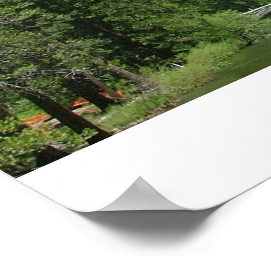 Half-dome Poster (Hoek)