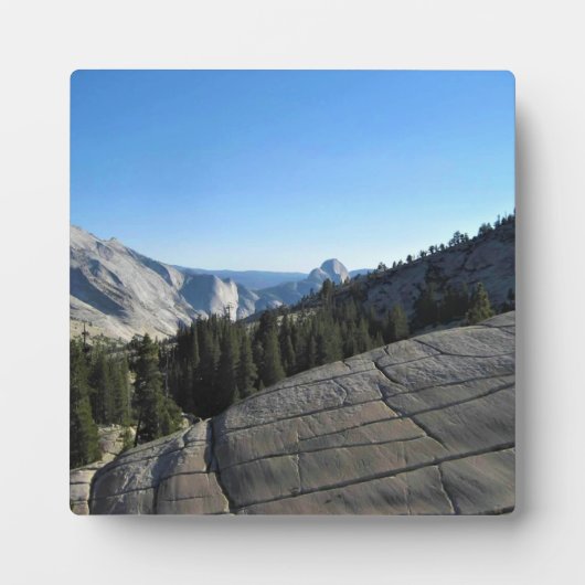 Half Dome uit Olmstead Point, Yosemite, CA Fotoplaat (Voorkant)