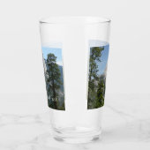 Half-dome van Panorama Trail I Glas (Links)