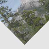 Half-dome van Panorama Trail II Tissuepapier (Detail)