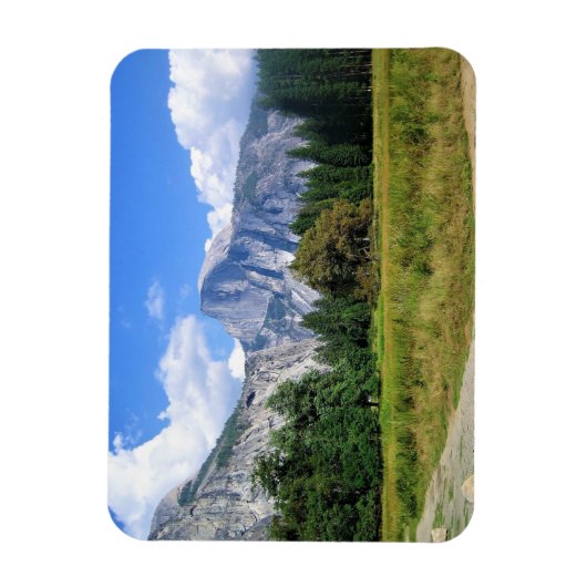 Half Dome, Yosemite National Park, CA Magneet (Verticaal)