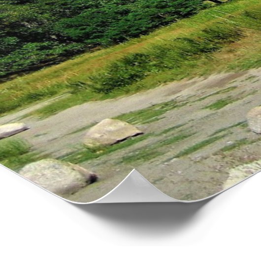 Half Dome, Yosemite National Park, CA Poster (Hoek)