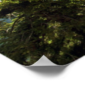 Half-Dome, Yosemite-Poster Poster (Hoek)