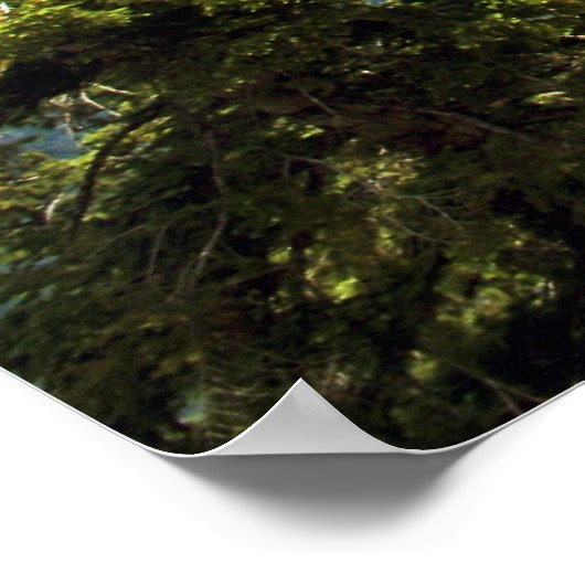 Half-Dome, Yosemite-Poster Poster (Hoek)