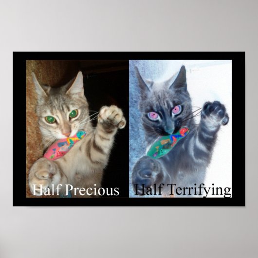 Half en Half Poster (Voorkant)