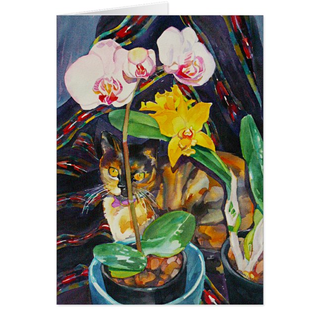 "Half & Half" (Voorkant)