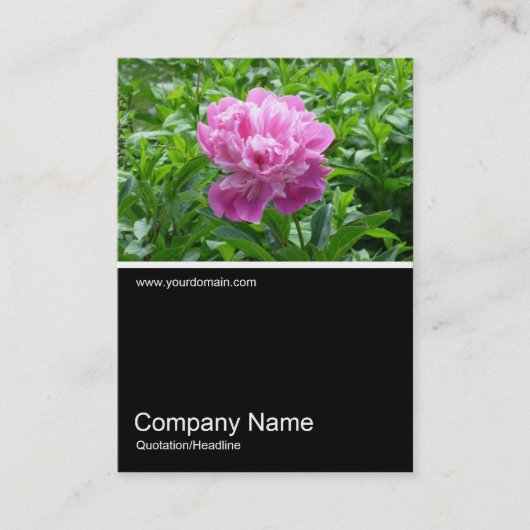 Half&Half Foto 0158 - Pink Peony Visitekaartje (Voorkant)