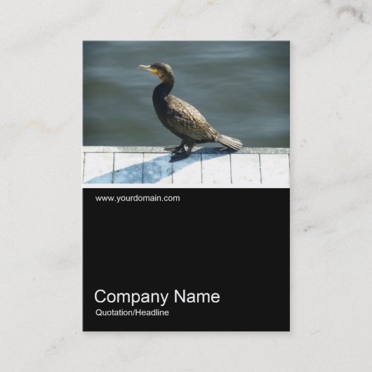 Half&Half foto 0178 - Aalscholver Visitekaartje (Voorkant)