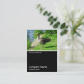 Half&Half Foto 0224 - Greylag Goose Visitekaartje (Staand voorkant)
