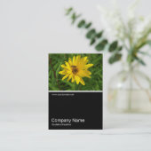 Half&Half Foto 0259 - Hover Fly on a Yellow Chrys Visitekaartje (Staand voorkant)