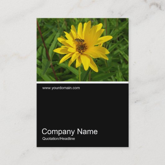 Half&Half Foto 0259 - Hover Fly on a Yellow Chrys Visitekaartje (Voorkant)