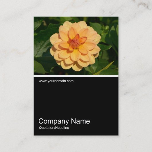 Half&Half Foto 0281 - Dahlia 'David Howard' Visitekaartje (Voorkant)
