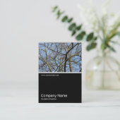 Half&Half Foto 0298 - Branches in Warm Sunlight Visitekaartje (Staand voorkant)