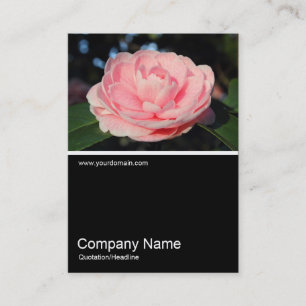 Half&Half Foto 0306 - Roze Camellia Visitekaartje