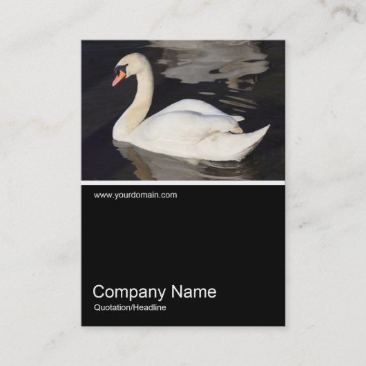 Half&Half Foto 0307 - Stomme Swan Visitekaartje (Voorkant)