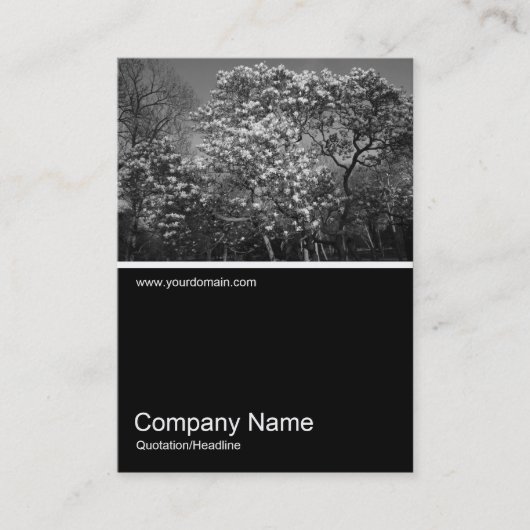 Half&Half Foto 0314 - Magnolia Tree in Blossom Visitekaartje (Voorkant)