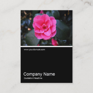 Half&Half Foto 0361 - Roze Camellia Visitekaartje