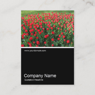 Half&Half Foto 0381 - Bed of Red Tulips 01 Visitekaartje