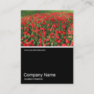Half&Half Foto 0382 - Bed of Red Tulips 02 Visitekaartje