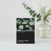 Half&Half Foto 056 - Daisies Visitekaartje (Staand voorkant)