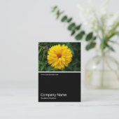 Half&Half Foto 057 - Chrysanthemum Visitekaartje (Staand voorkant)