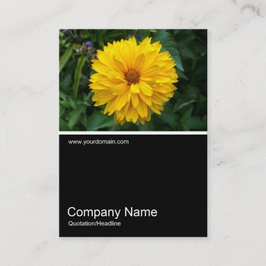 Half&Half Foto 057 - Chrysanthemum Visitekaartje (Voorkant)