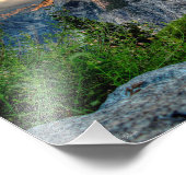 Half koepel 2 foto afdruk (Hoek)