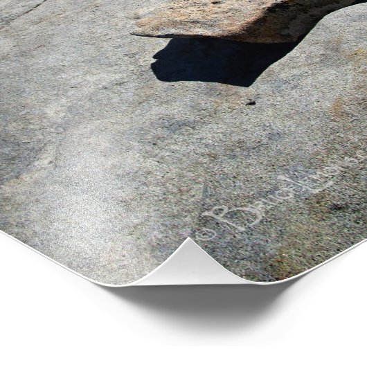 Half koepel van de Basis van de Kabels - Yosemite Foto Afdruk (Hoek)