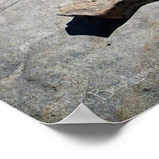 Half koepel van de Basis van de Kabels - Yosemite Poster (Hoek)