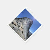 Half koepel van de Basis van de Kabels - Yosemite Servet (Hoek)