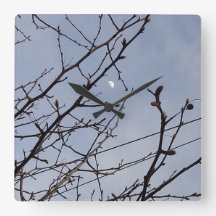 Half maan in daglicht