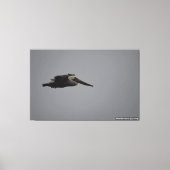 Half Moon Bay Fierce Pelican III - verpakt canvas (Voorkant)