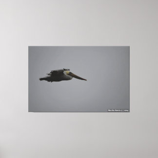 Half Moon Bay Fierce Pelican III - verpakt canvas