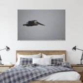 Half Moon Bay Fierce Pelican III - verpakt canvas (Insitu (Slaapkamer))