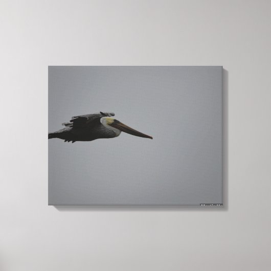 Half Moon Bay Fierce Pelican III - verpakt canvas Afdruk (Voorkant)