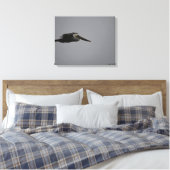 Half Moon Bay Fierce Pelican III - verpakt canvas Afdruk (Insitu (Slaapkamer))