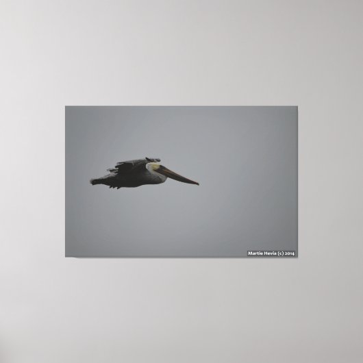 Half Moon Bay Fierce Pelican III - verpakt canvas Afdruk (Voorkant)