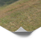 Half Moon Bay House op een heuvel Poster (Hoek)