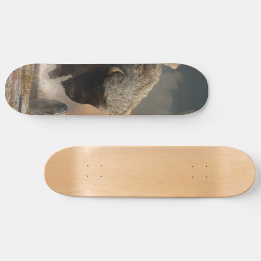 Half White Bison Skateboard (Horizontaal)