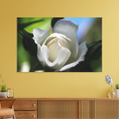 halfbloeiende zuivere witte rozenbloem. canvas afdruk (Insitu (Woonkamer))