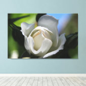 halfbloeiende zuivere witte rozenbloem. canvas afdruk (Insitu (Houten vloer))
