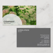 Halfcirkelpaneel - Sedum Autumn Glory Visitekaartje (Voorkant / Achterkant)