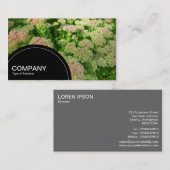 Halfcirkelpaneel (stippen) - Sedum Autumn Glory Visitekaartje (Voorkant / Achterkant)